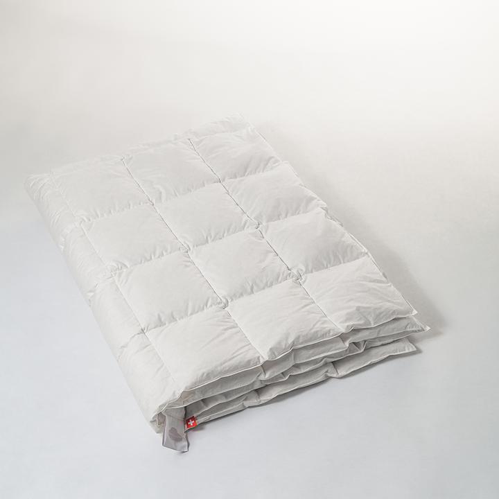 Image du produit Duvetsuisse Light Duck Basic (470 g, Duvet, 150 x 210 cm)