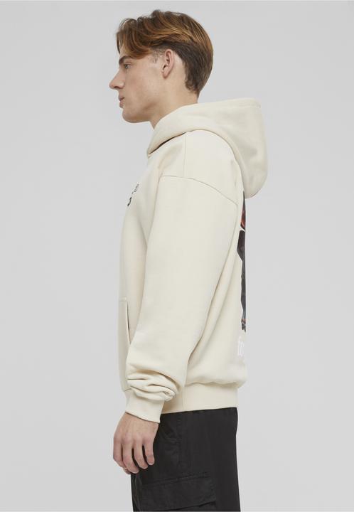 Image du produit Forgotten Faces Capuche Guardian Ultra Heavy Cotton Box - 82555 (S)