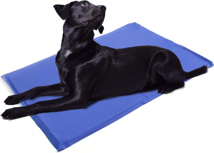 Actual product image Fudajo Kühlmatte (Cat, Dog)