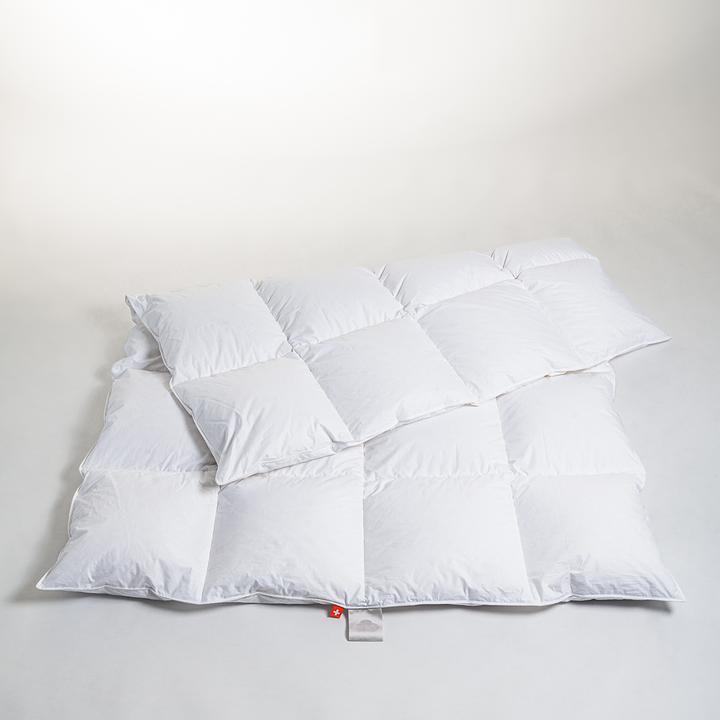 Immagine prodotto Duvetsuisse Oca Calda Premium (730 g, Piuma, 155 x 220 cm)