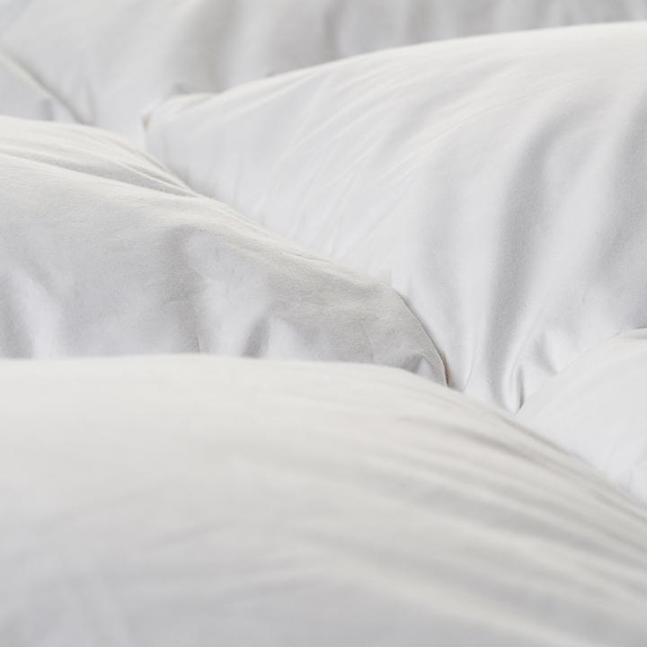 Immagine prodotto Duvetsuisse Oca Calda Premium (730 g, Piuma, 155 x 220 cm)