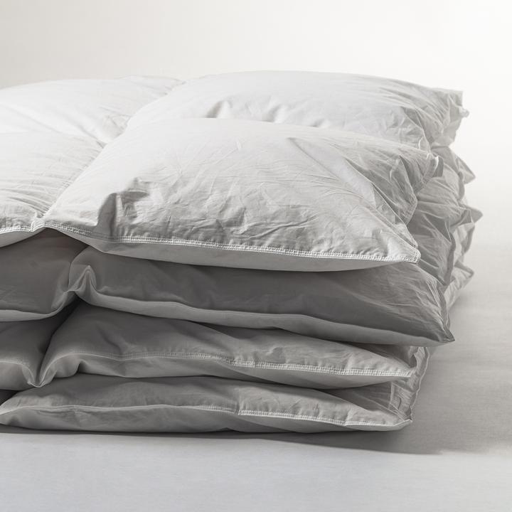 Immagine prodotto Duvetsuisse Anatra calda Basic (1390 g, 240 x 220 cm)