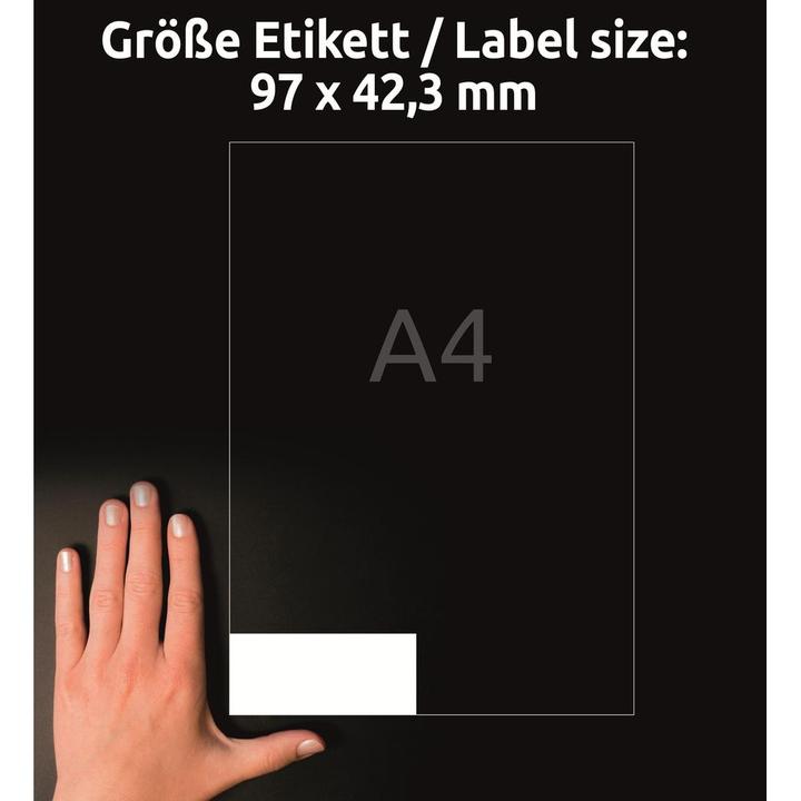 Actual product image Avery Universal Labels