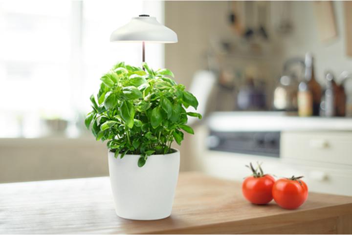 Produktbild Ledvance Umberella USB (LED, 5 V)