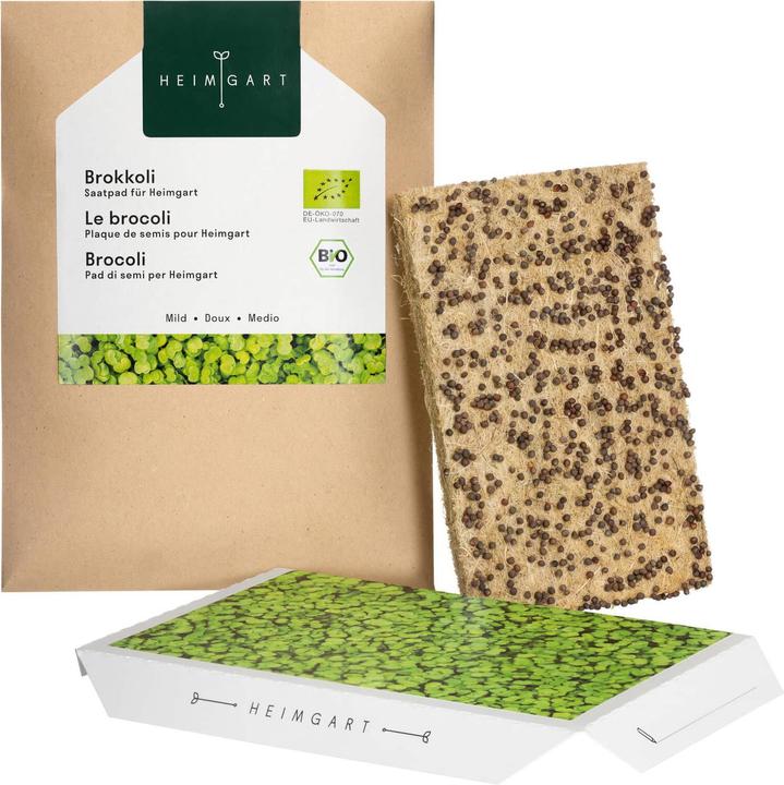 Heimgart Brokkoli (Keimlinge)