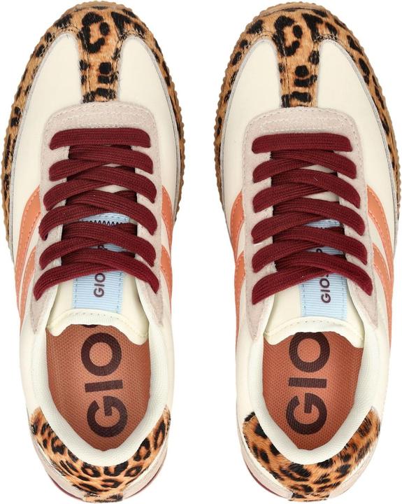 Image du produit Gioseppo Sneaker (38)