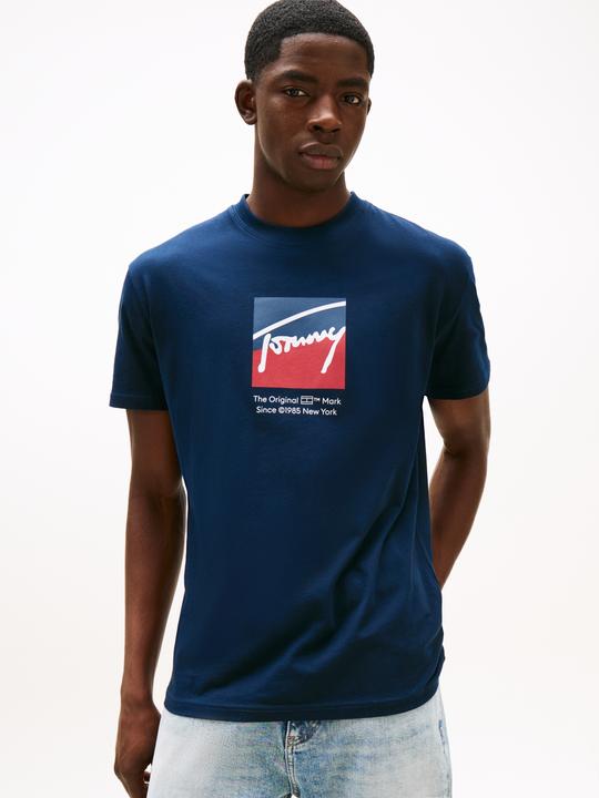 Actual product image Tommy Jeans Tjm Reg Rwb Dna Tee (M)