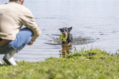 Image du produit Trixie Pince de préhension Aqua Toy (Apporter)