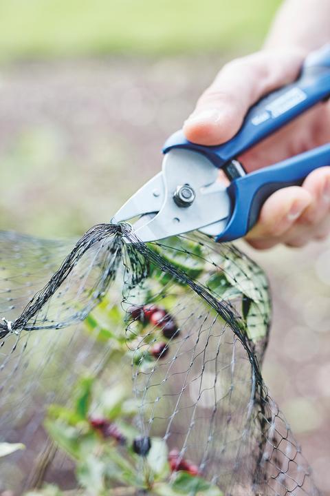 Immagine prodotto Rapid Morsetti ad anello VR16 zincati 3.190 pezzi (3190 x)