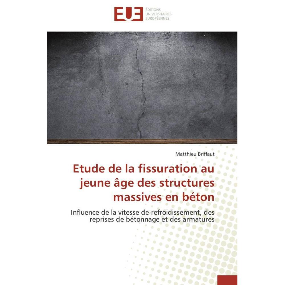Etude de la fissuration au jeune âge des structures massives en béton, Fachbücher