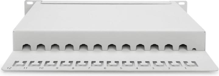 Image du produit Digitus Panneau de brassage CAT 6A, blindé, 12 ports, 1HE, 10", gris