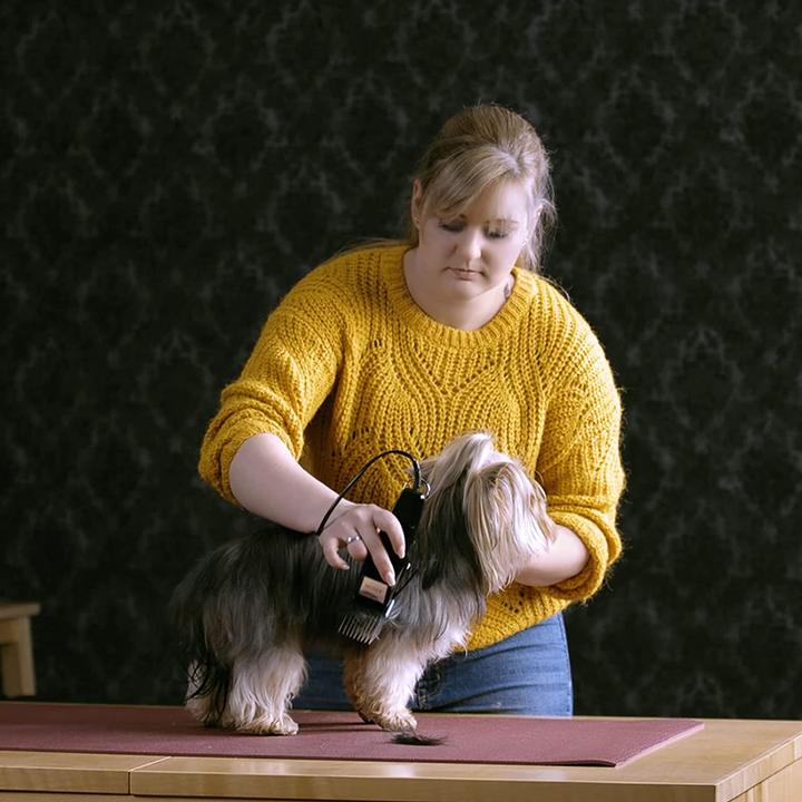 Actual product image Agrarzone Moser 1400 with push-on comb set (Cat, Dog)