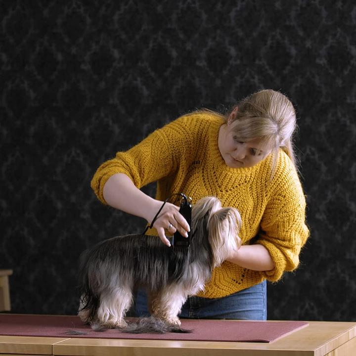 Actual product image Agrarzone Moser 1400 with push-on comb set (Cat, Dog)