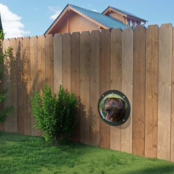 Actual product image Lucky Lamb Fence window