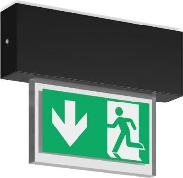 Actual product image RZB LED emergency light