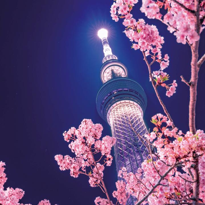 Actual product image Inside Japan 2026 (30 x 30 cm)