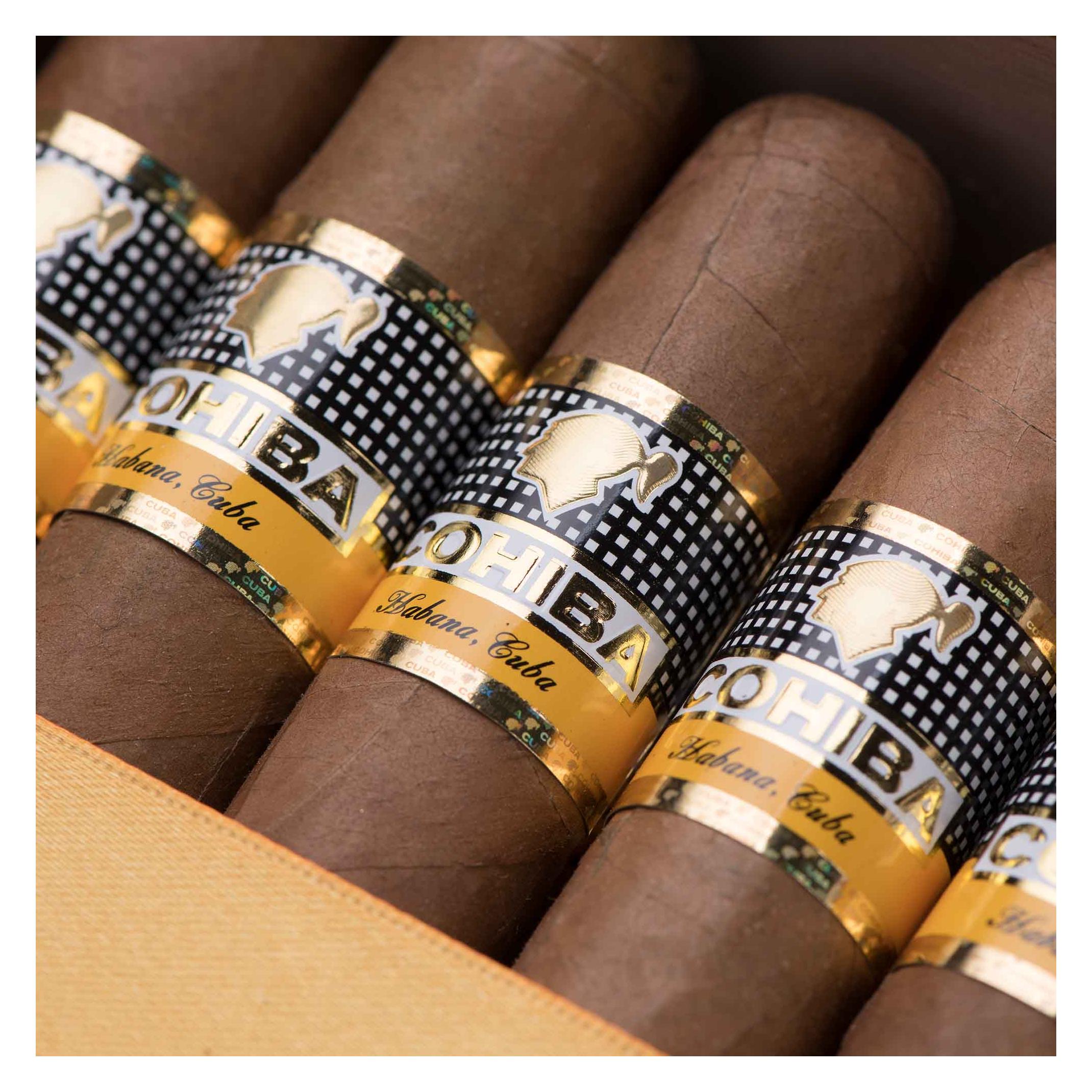 Cohiba Cigares Robusto - acheter sur Galaxus