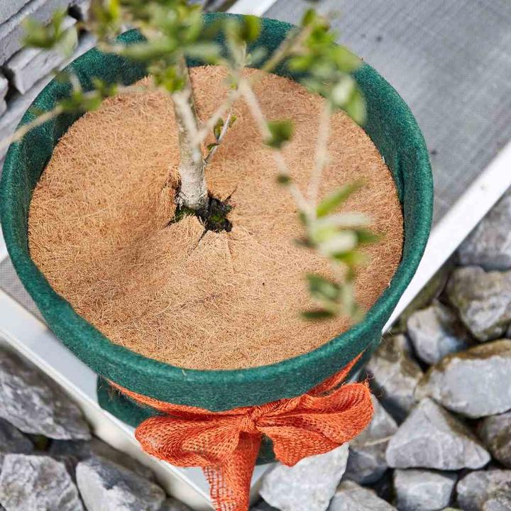 Produktbild Siena Garden Gartenbaufolie