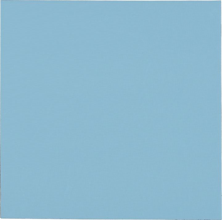 Productafbeelding Thermal Grizzly TG Minus Pad Pro - 100x100x2,0 mm (2 mm)