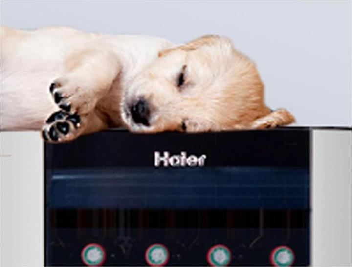 Image du produit Haier WS30GA