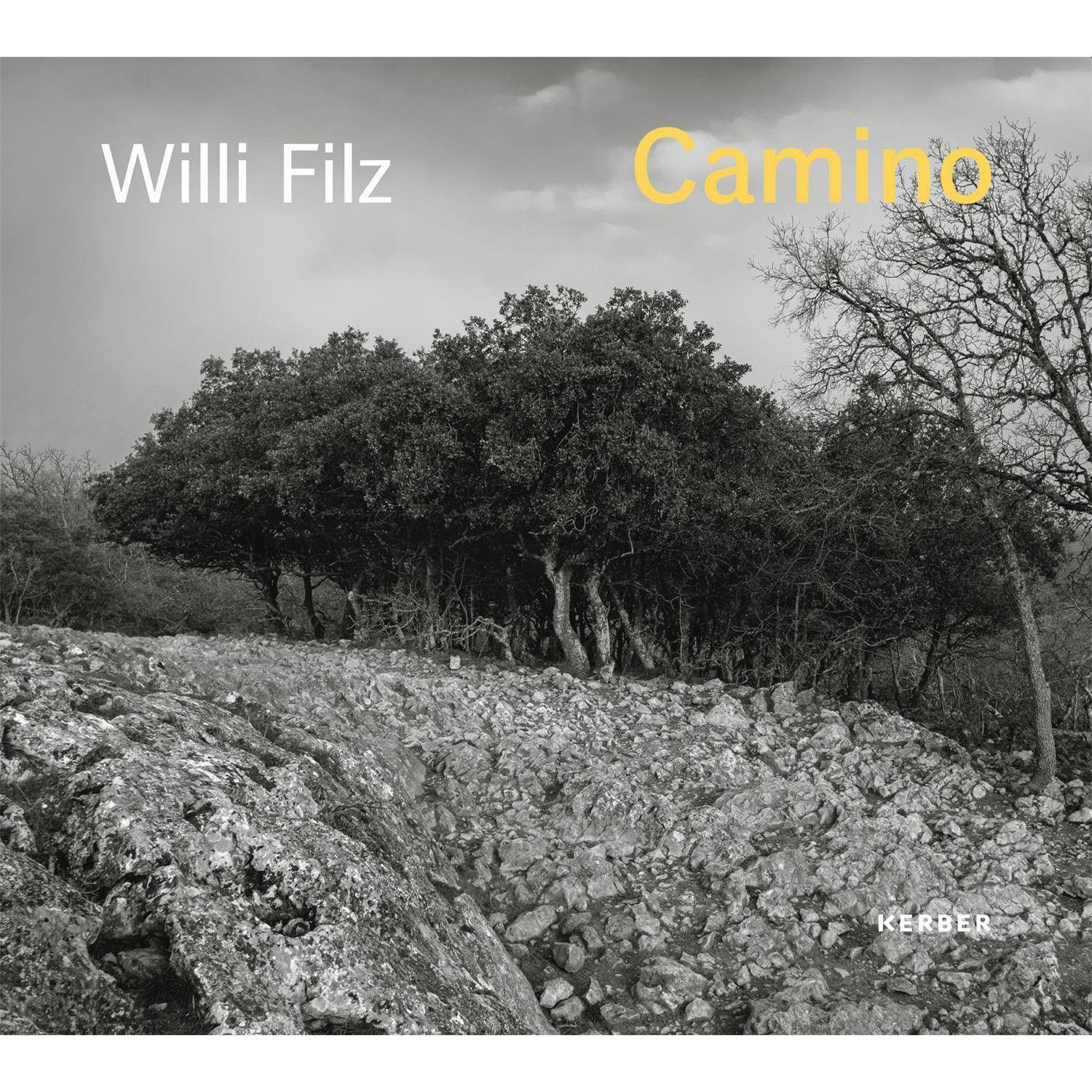 Thumbnail - Camino, Fachbücher von Willi Filz