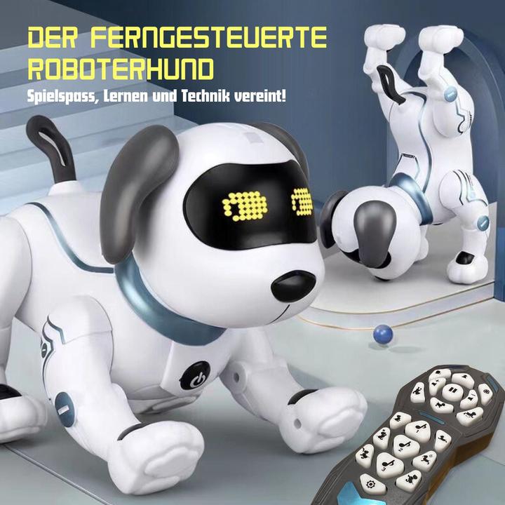 Immagine prodotto Hermex Cane robot