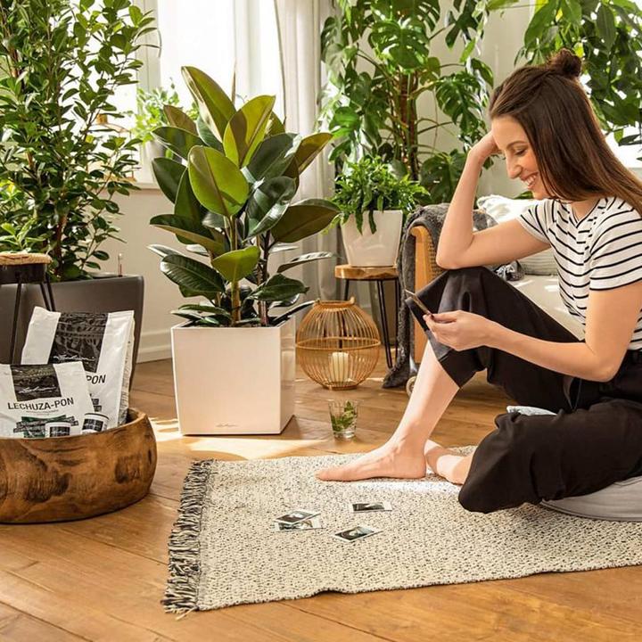 Produktbild Lechuza Pon (12 l)