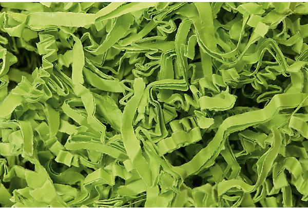 Limette