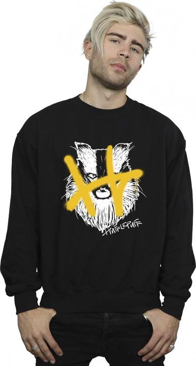 Actual product image Mens Hufflepuff Pop Spray Sweatshirt (XL)