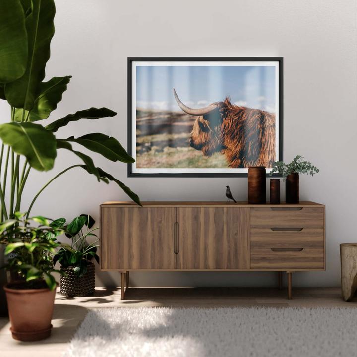 Image du produit Trenddeko Vache Highland 02 (50 x 40 cm)