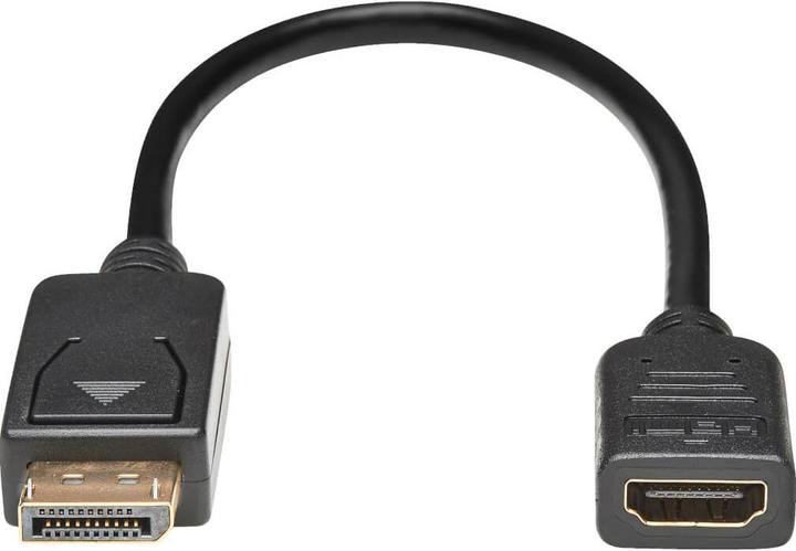 Actual product image Eaton DisplayPort to HDMI Video Adapter Video Converter M/F HDCP Black 1ft.