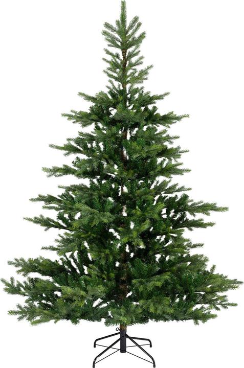 Everlands Grandis Tanne (180 cm)