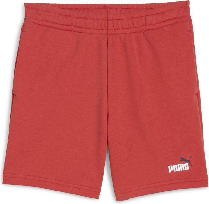 Actual product image Puma ESS 2 COLOR No. 1 Logo Shorts TR B (140)