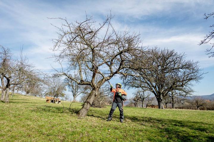 Produktbild Metabo MA-MS 25 (Akku Kettensäge)