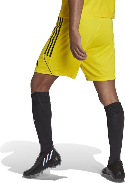 Actual product image adidas Tiro 23 training shorts men (L)
