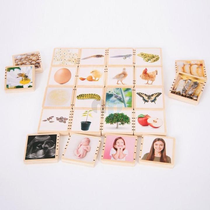 TickiT Wooden life sequence picture tiles