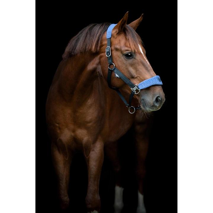 Produktbild Catago FIR-Tech Grand