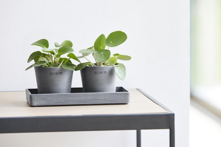 Actual product image Ecopots Amsterdam Untersetzer rechteckig