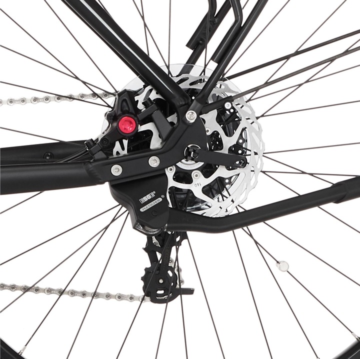 Immagine prodotto Fischer Bicicletta da trekking Terra 5.0i (49 cm)