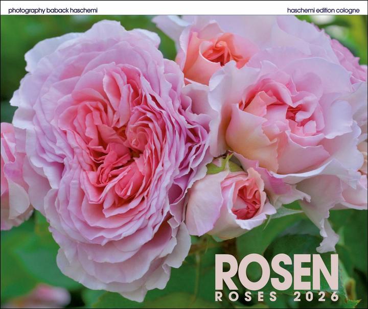 Produktbild Rosen 2019 (Spezial)