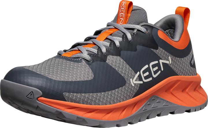 Grigio acciaio, Ibis scarlatto