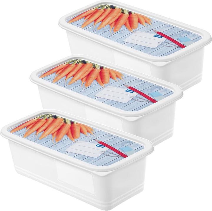 Actual product image Rotho Domino (1.20 l)