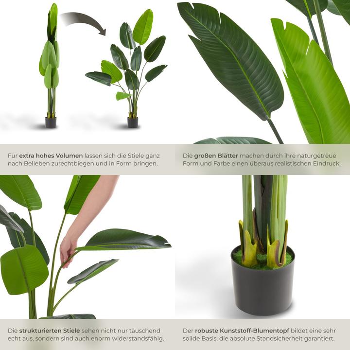 Image du produit tectake Arbre oiseau de paradis Tropic (160 cm)