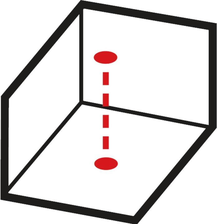 Actual product image Stabila Point laser self leveling