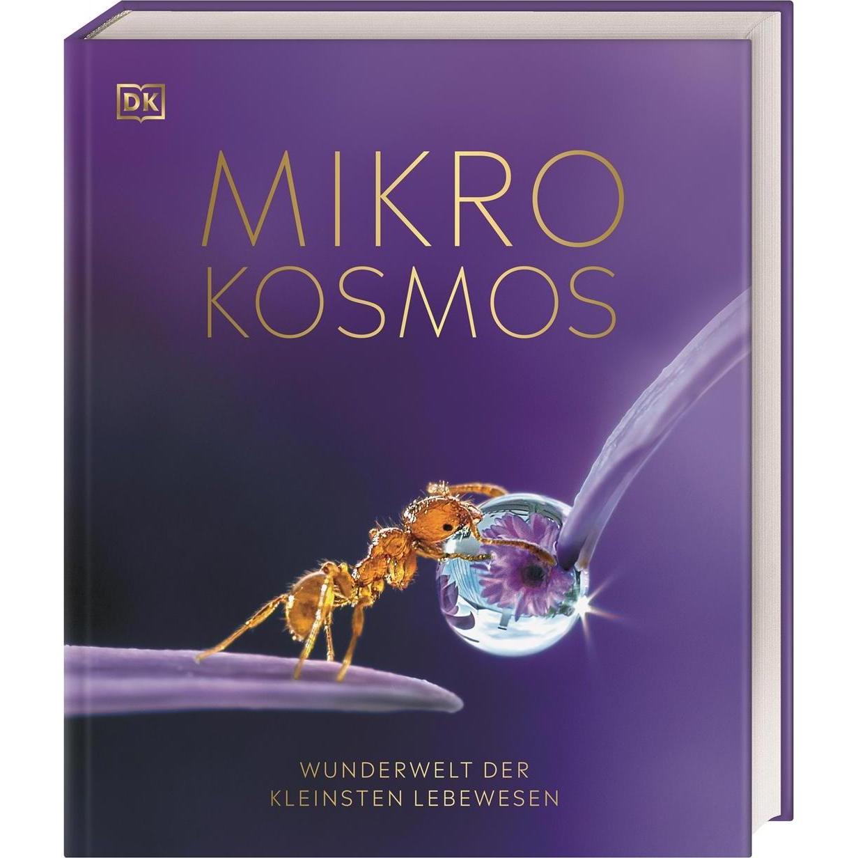 Mikrokosmos - Wunderwelt der kleinsten Lebewesen, Ratgeber von Derek Harvey, Dr. Elizabeth Wood, Tom Jackson, Dr. Bea Pe...