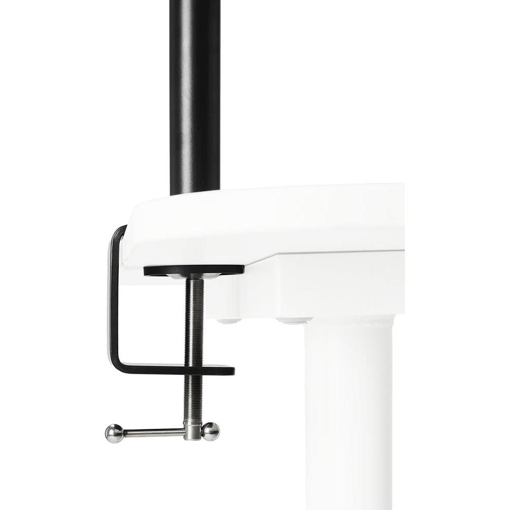 Amaran 6977162452432 (Ulteriori accessori), Accessori attrezzatura da studio, Nero