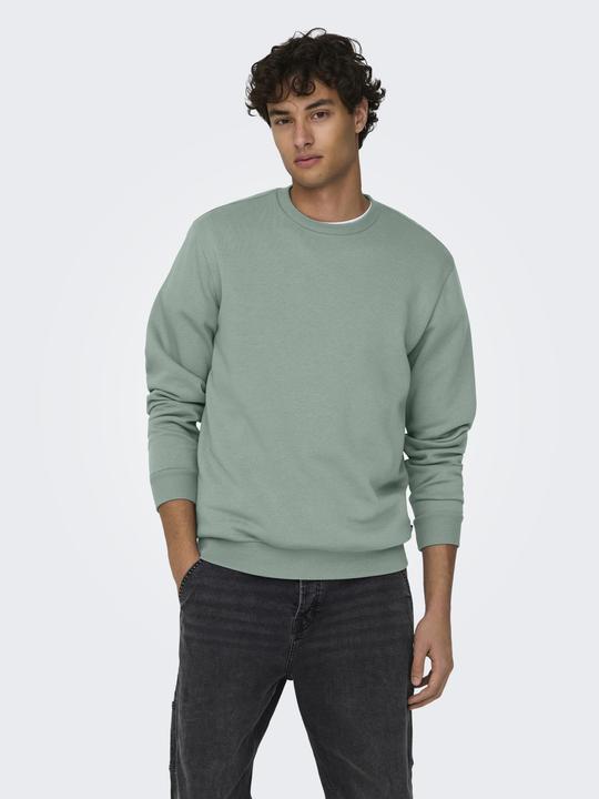 Image du produit Only & Sons Onsceres Crew Neck Noos (XS)
