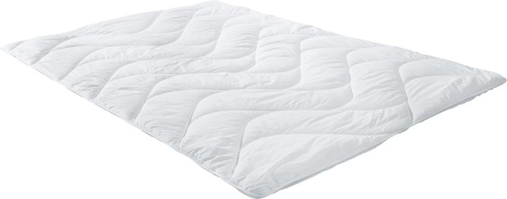 Image du produit Erwin Müller Lech (1200 g, 135x200 cm)