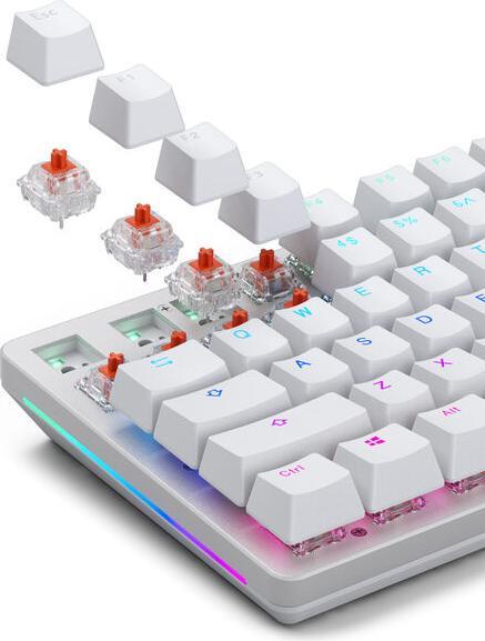 Actual product image Glorious Mechanical Switches (110pcs) - Fox - Heavy (Linear) 55g