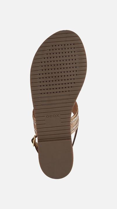 Actual product image Geox Sozy Plus (36)